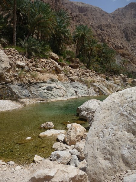 Oman Wadi Tiwi (3).JPG